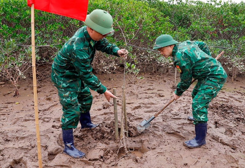 Bộ TN&MT phát động “Tết trồng cây đời đời nhớ ơn Bác Hồ” tại Thái Bình
