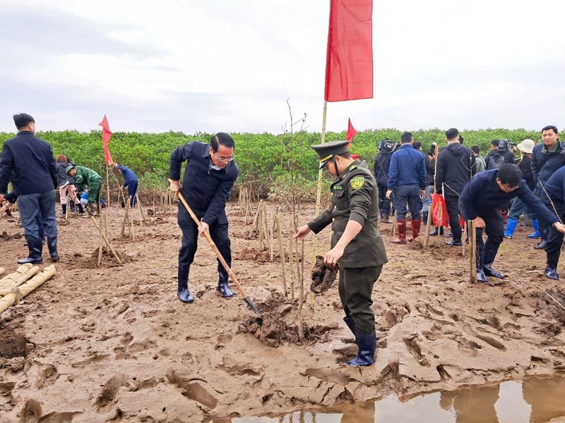 Bộ TN&MT phát động “Tết trồng cây đời đời nhớ ơn Bác Hồ” tại Thái Bình