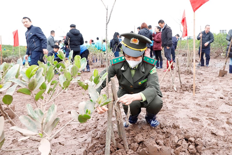 Bộ TN&MT phát động “Tết trồng cây đời đời nhớ ơn Bác Hồ” tại Thái Bình