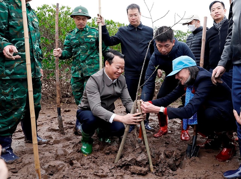 Bộ TN&MT phát động “Tết trồng cây đời đời nhớ ơn Bác Hồ” tại Thái Bình