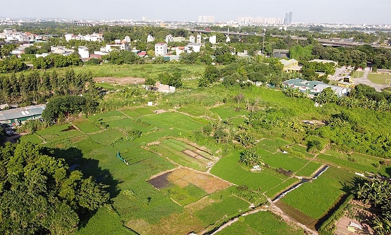 Chính sách pháp luật về hỗ trợ khi Nhà nước thu hồi đất và những nội dung chuyển tiếp khi Luật Đất đai có hiệu lực