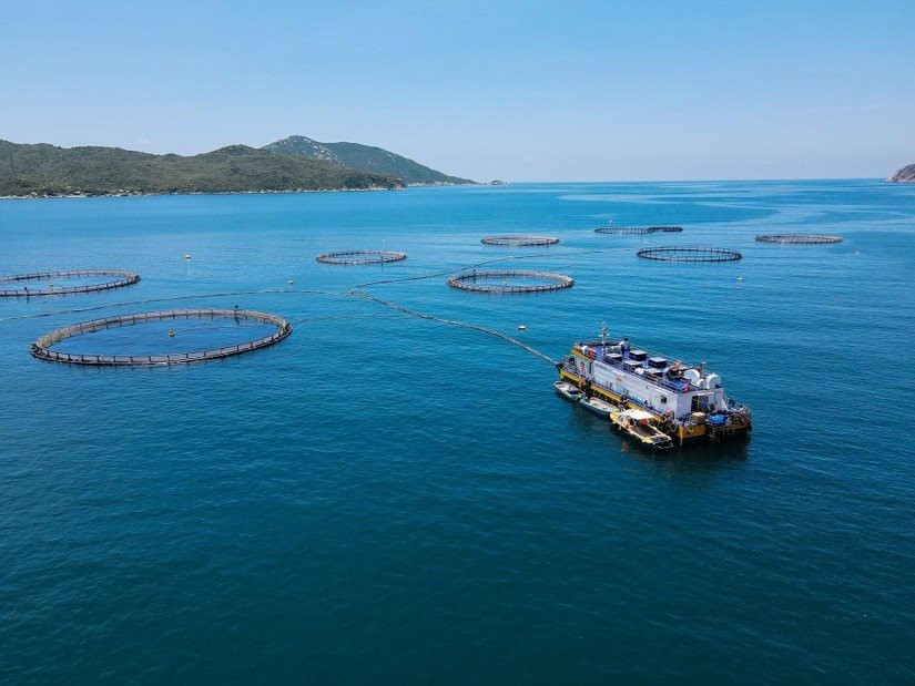 Bộ trưởng Đặng Quốc Khánh thăm mô hình nuôi trồng thủy sản thông minh tại khu vực Vịnh Vân Phong (Khánh Hòa)
