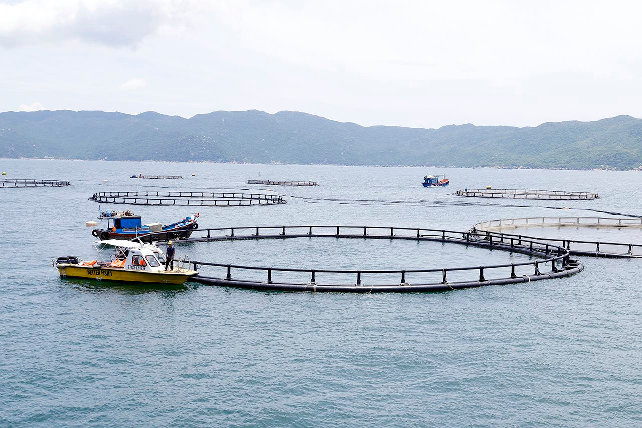 Bộ trưởng Đặng Quốc Khánh thăm mô hình nuôi trồng thủy sản thông minh tại khu vực Vịnh Vân Phong (Khánh Hòa)