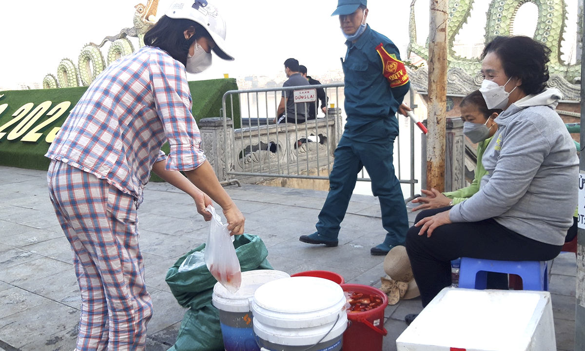 Hồ Tây hạn chế phóng sinh cá để bảo vệ môi trường