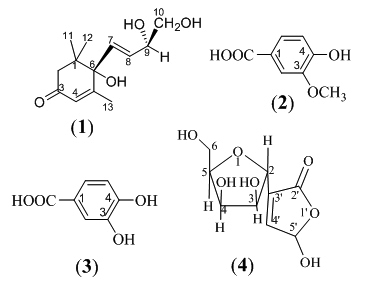 Thành phần hóa học phân đoạn EA5 cao ethyl acetate của loài Nam sâm đứng (Boerhavia erecta)