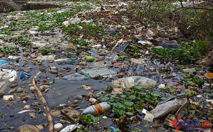 Rác ngập sông, người dân ở Ninh Bình không dám mở cửa nhà