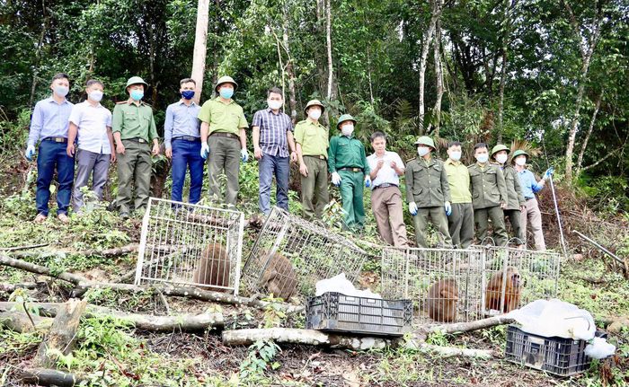Hà Tĩnh: Thả 39 động vật hoang dã quý hiếm về môi trường tự nhiên