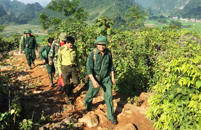 Cao Bằng: Nỗ lực bảo tồn và phát triển loài vượn cao vít