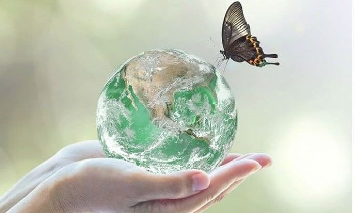 Hoàn thiện khung pháp lý góp phần hạn chế suy giảm đa dạng sinh học