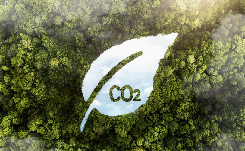 Khai thác “mỏ vàng” tín chỉ carbon