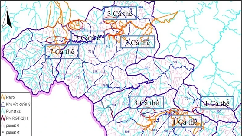 Làm rõ nguyên nhân hàng chục cá thể lợn rừng chết trong Vườn quốc gia Pù Mát