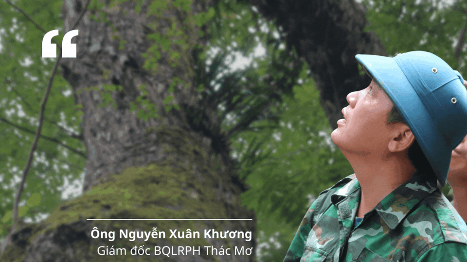 Bảo vệ những báu vật hàng trăm tuổi ở Đắk Nông