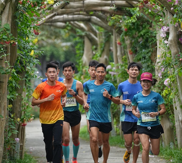 FESTIVAL TRE 2022: “Vì một triệu cây tre Việt” góp phần giảm thiểu khí hậu