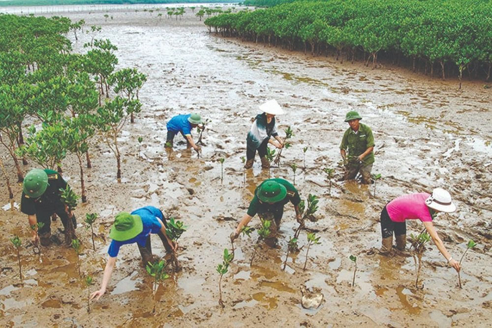 Cà Mau triển khai hiệu quả các giải pháp thích ứng biến đổi khí hậu