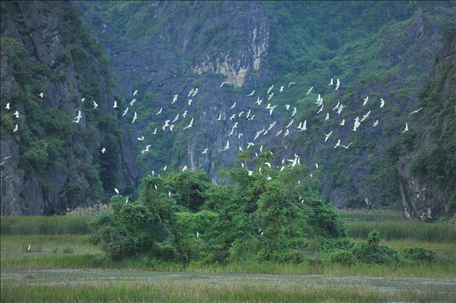 Thay đổi hành vi, thúc đẩy lối sống hài hòa với thiên nhiên