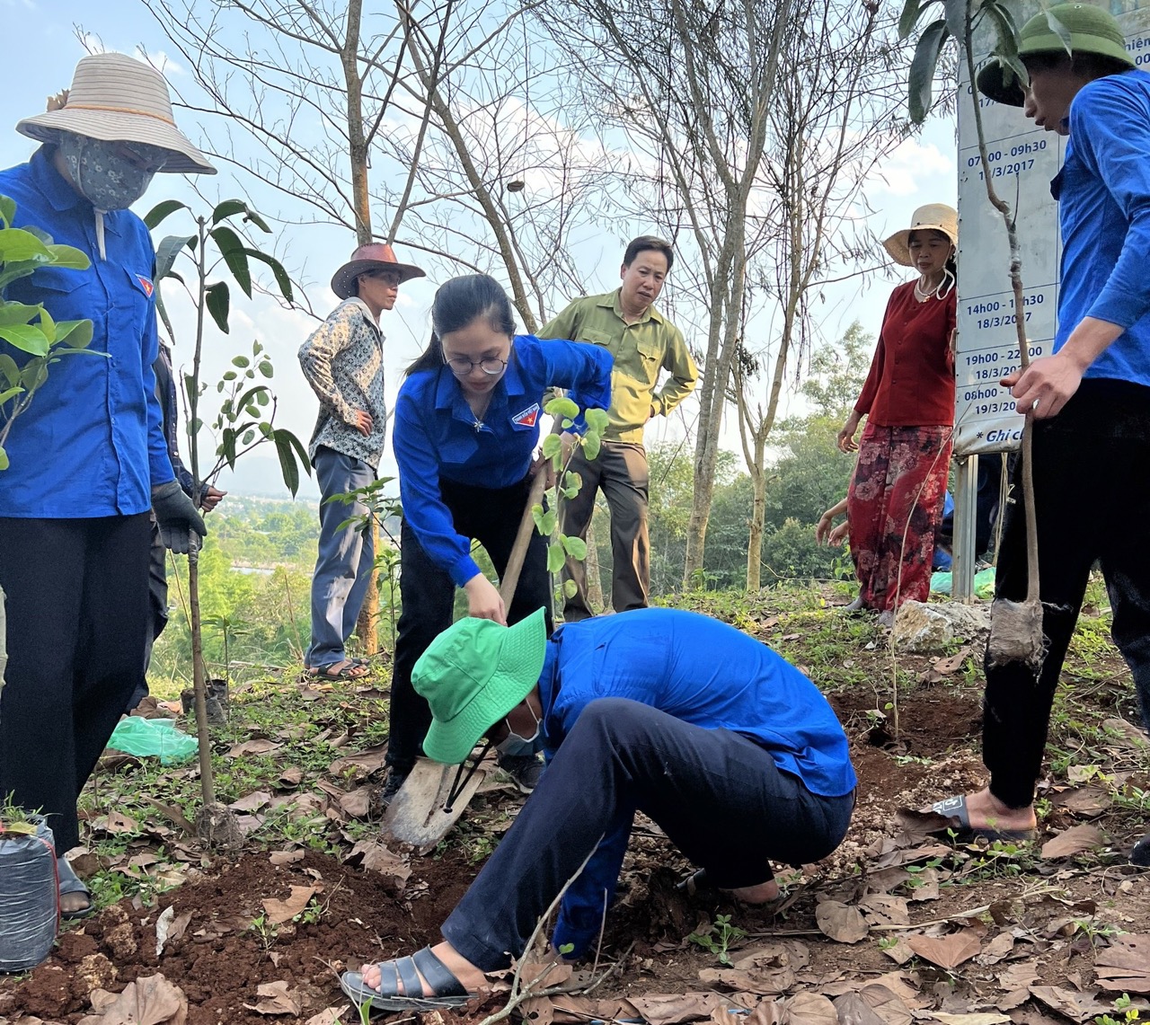 Tạp chí Tài nguyên và Môi trường trồng 663 cây tại chùa Linh Quang, Điện Biên