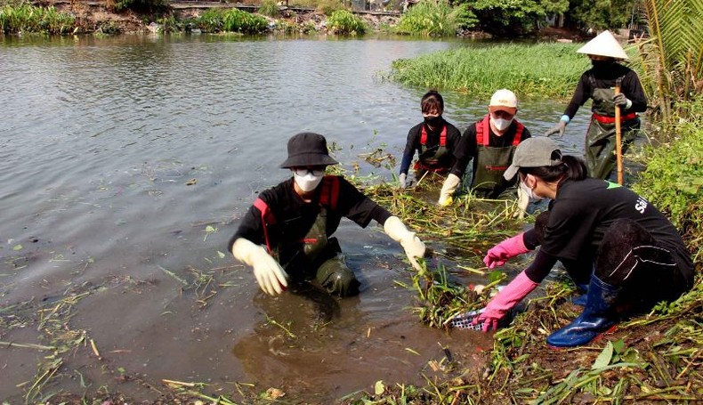 Tuổi trẻ Thành phố Hồ Chí Minh ra quân Ngày Chủ nhật xanh