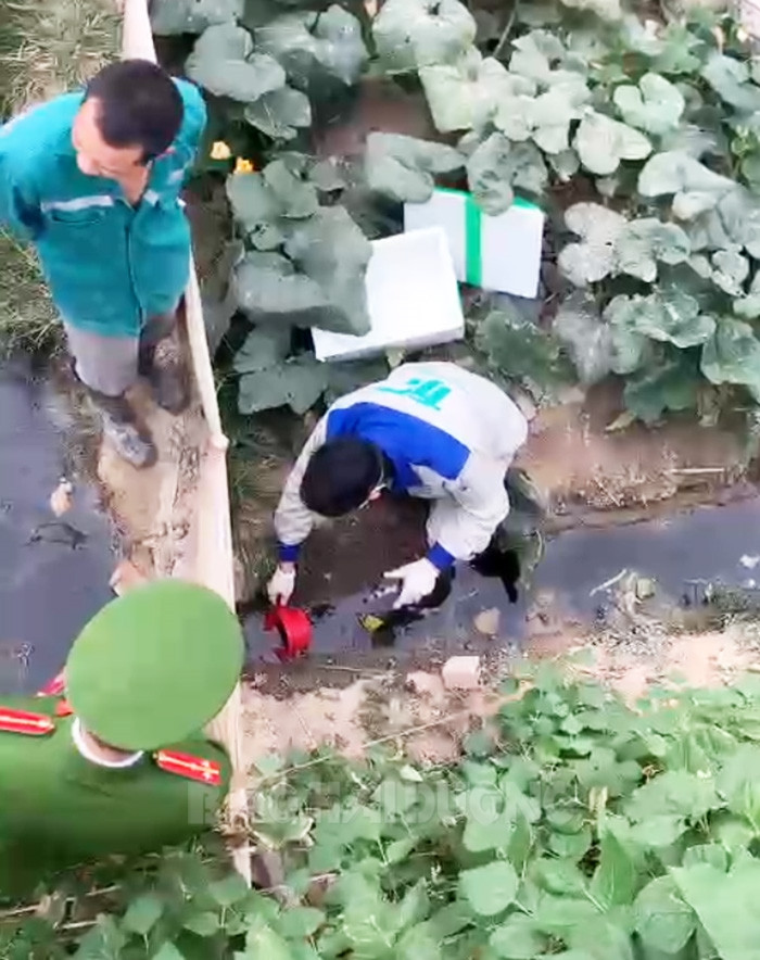Cơ sở rửa xe, chăn nuôi ở Nam Sách bị phạt vì gây ô nhiễm môi trường