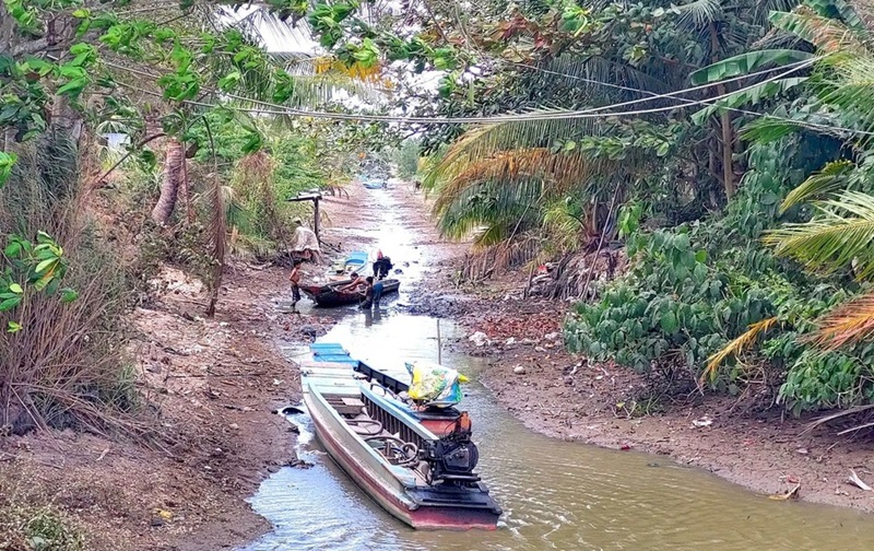 Cô lập carbon bằng phương pháp sinh học để ứng phó với xâm nhập mặn và nước biển dâng ở ĐBSCL