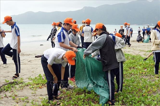 Nhiều hoạt động ý nghĩa bảo vệ môi trường tại Côn Đảo