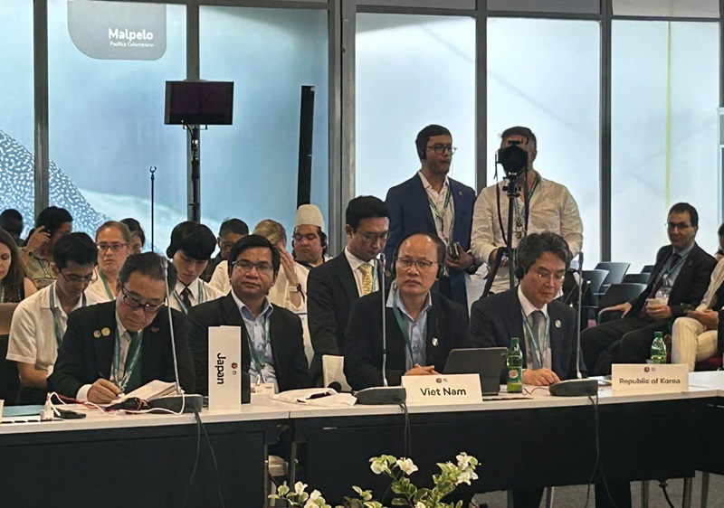 COP16: Tăng cường cam kết bảo tồn đa dạng sinh học, hướng đến Liên minh toàn cầu vì 'Hòa bình với thiên nhiên'