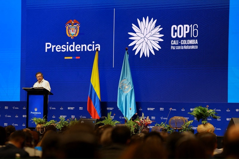 COP16: Tăng cường cam kết bảo tồn đa dạng sinh học, hướng đến Liên minh toàn cầu vì 'Hòa bình với thiên nhiên'