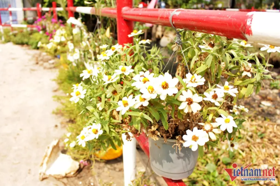 Được 'thay áo mới', cống nước sình lầy, ngập rác thành công viên nhỏ xinh