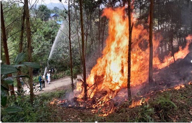 Thái Nguyên tăng cường phòng, chống cháy rừng