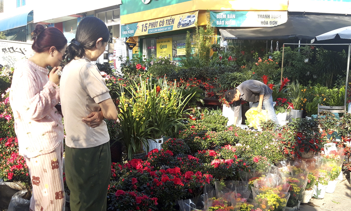 Thời tiết ngày 30 Tết: Cả nước không mưa, Bắc Bộ trời rét