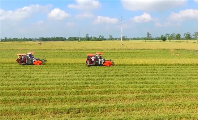 Thí điểm thủ tục chuyển mục đích sử dụng đất trồng lúa quy mô dưới 500 ha tại Khánh Hòa
