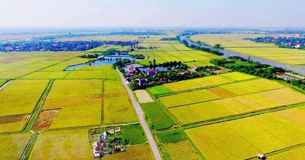 Hoàn thiện chính sách quản lý, sử dụng đất nông nghiệp