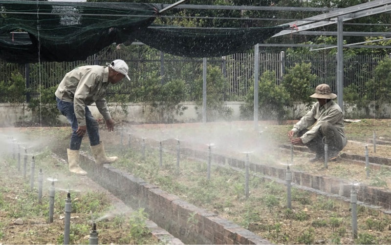 'Dấu carbon' trên sản phẩm