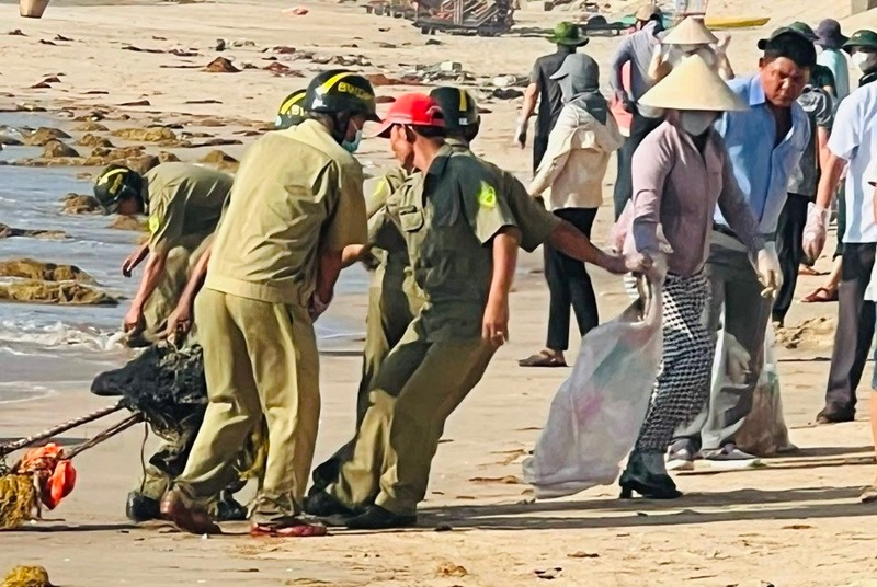 Phan Thiết: Khẩn trương thu gom, xử lý dầu vón cục trôi vào bờ biển tại Mũi Né