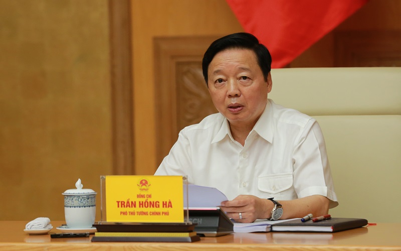 Đấu thầu thực hiện dự án đầu tư sử dụng đất: Phân nhóm kèm theo tiêu chí đánh giá riêng