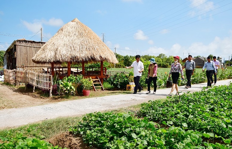 Làm nông nghiệp sinh thái, thân thiện môi trường tại Đồng bằng sông Cửu Long