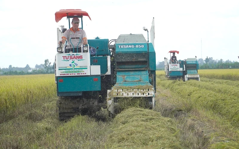 Nhiều thách thức đặt ra với doanh nghiệp khi tham gia thị trường carbon