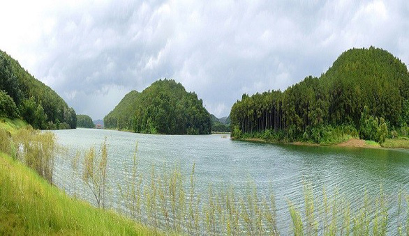 Kiến nghị thu hồi hàng trăm hecta đất giao cho công ty của đại gia Xuân Trường