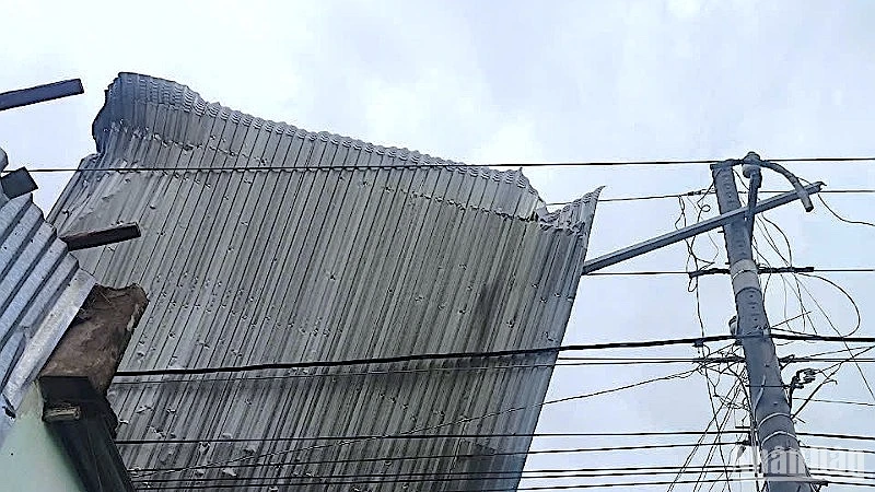 Lốc xoáy quét qua vùng nông thôn Cà Mau, nhiều người bị thương, nhiều nhà dân hư hỏng
