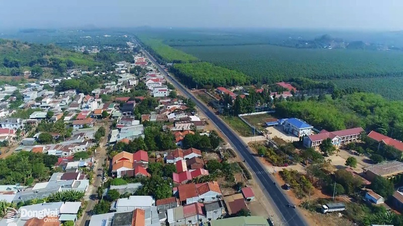 Đồng Nai: Thành lập Ban Chỉ đạo kiểm kê đất đai