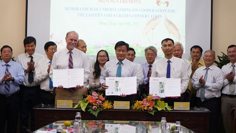 Đồng Tháp: Ký kết hợp tác bảo tồn sếu đầu đỏ