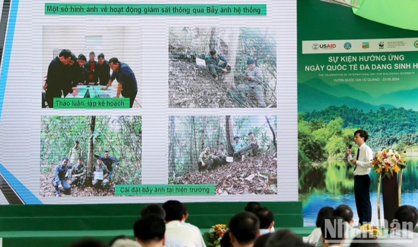 Hành động vì động vật hoang dã