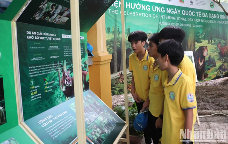 Hành động vì động vật hoang dã