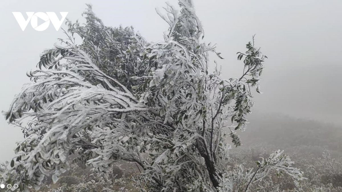 Thời tiết hôm nay 25/1: Miền Bắc rét đậm, vùng núi cao khả năng có băng giá