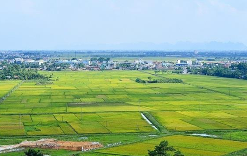 Khẩn trương hoàn thiện 4 dự thảo Nghị định liên quan đến đất đai