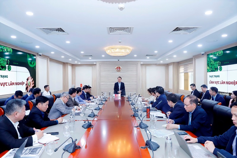 Bộ trưởng Đỗ Đức Duy: Phát triển ngành Lâm nghiệp bền vững, đa mục tiêu
