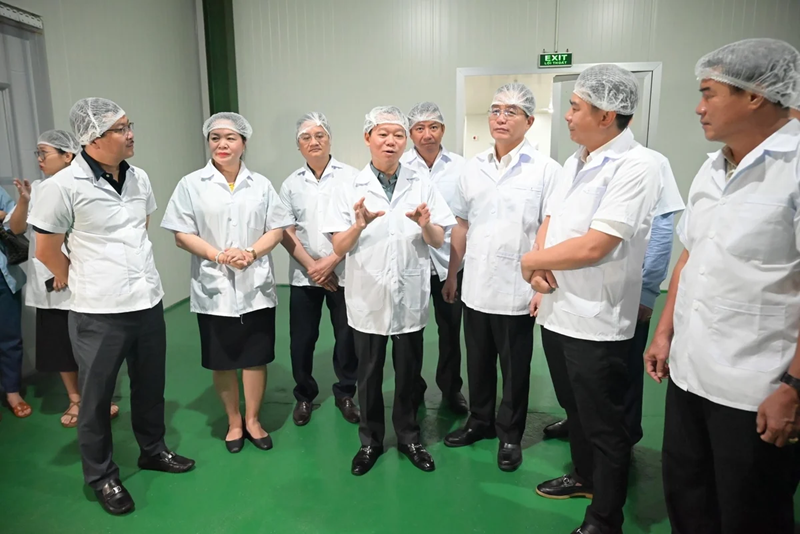 Sầu riêng Việt Nam cần giữ vững chất lượng, chinh phục thị trường cao cấp