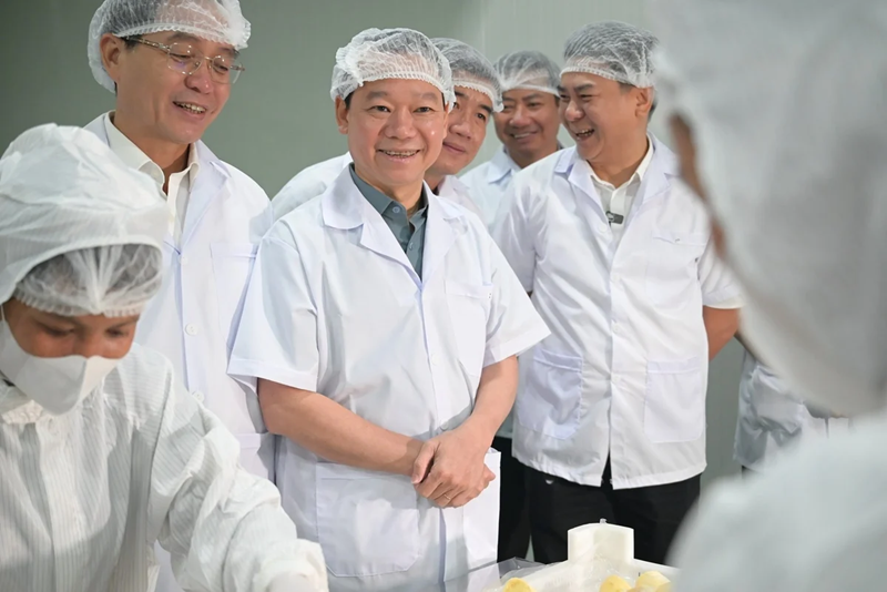 Sầu riêng Việt Nam cần giữ vững chất lượng, chinh phục thị trường cao cấp