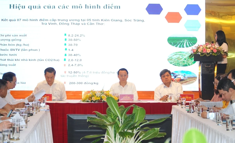 Một triệu hecta lúa chất lượng cao: Đi sớm, đón đầu xu thế tiêu dùng xanh