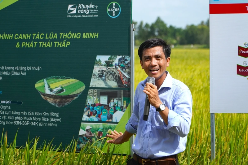 Một triệu hecta lúa chất lượng cao: Đi sớm, đón đầu xu thế tiêu dùng xanh