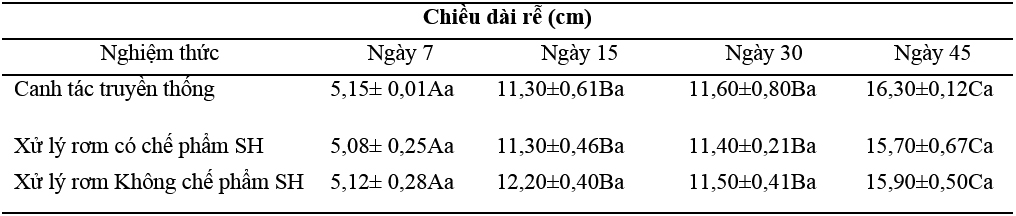 Đánh giá hiệu quả xử lý rơm trên đồng ruộng tới một số tính chất đất trong canh tác lúa hiện nay